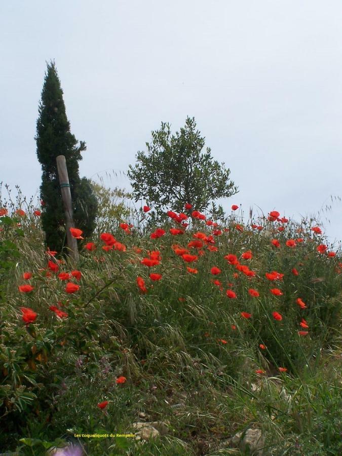 엑상프로방스 Bastide Du Rempelin B&B 외부 사진